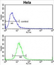 AP50091PU-N - Alcohol dehydrogenase 6 / ADH6