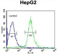 AP50120PU-N - Alpha-2-HS-glycoprotein / AHSG