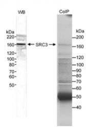 SP2070P - NCOA3