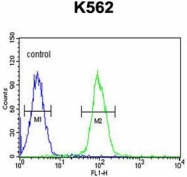 AP50133PU-N - AKR1C3 / DDH3