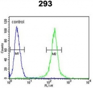 AP50161PU-N - Anti-Muellerian Hormone / AMH