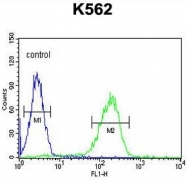 AP50213PU-N - Apolipoprotein L6 / APOL6