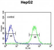 AP50262PU-N - Arylsulfatase I