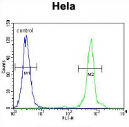 AP54481PU-N - UQCRFS1 (Complex III subunit Rieske)