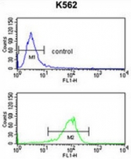 AP50294PU-N - ATP1B2