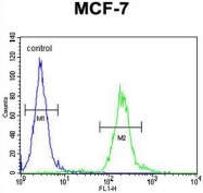 AP50316PU-N - AVP-induced protein 1