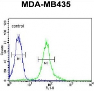 AP50335PU-N - BACH2