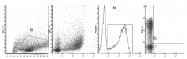 AM39006FC-N - CD1a