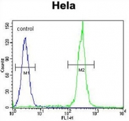AP50402PU-N - Betacellulin