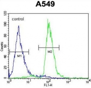 AP50446PU-N - PARPBP
