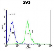 AP54343PU-N - Tryptophan 5-hydroxylase 2 (TPH2)