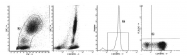 AM39018FC-N - CD43 / Leukosialin
