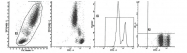 AM39019AC-N - CD45 / LCA