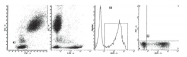 AM39020FC-N - CD45 / LCA