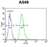 AP54307PU-N - CD120a / TNFR1