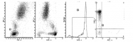 AM39021PU-N - CD45 / LCA
