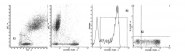 AM39022FC-N - CD45 / LCA