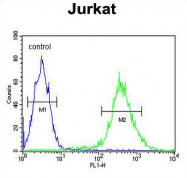 AP54276PU-N - TMEM173 / STING