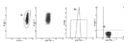 AM39024FC-N - CD59