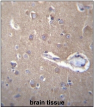 AP53834PU-N - SEC62 / TLOC1