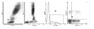 AM39034FC-N - Human Lambda Light Chain