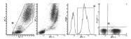 AM39035FC-N - Myeloperoxidase