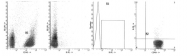 AM39036FC-N - Interleukin-10 / IL10