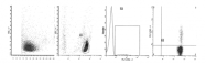 AM39041AC-N - IFNG / Interferon gamma