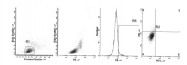AM39038PU-N - Interleukin-4 / IL4