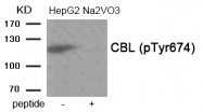AP55898PU-N - CBL / RNF55