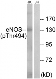AP55739PU-S - NOS3