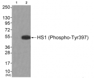 AP55834PU-S - HCLS1