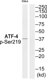 AP55845PU-S - ATF4