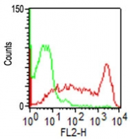 AM50158PU-S - CD45 / LCA