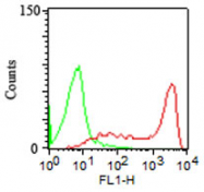 AM50159PU-S - CD45 / LCA