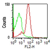 AM50171PU-S - CD43 / Leukosialin