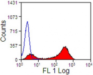 AM01047FC-N - CD13