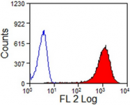 AM01047RP-N - CD13