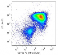 AM01322FC-N - CD79a