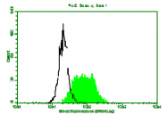 AM02303PU-N - Beta-2-microglobulin