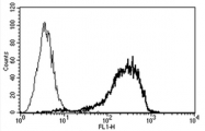 AM03022AF-N - CD138 / Syndecan-1