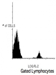 AM05180RP-N - CD19