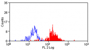 AM05588RP-N - CD172a / SIRPA