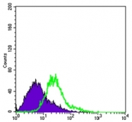 AM06073PU-N - Bcl-10