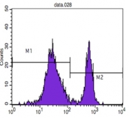AM06077PU-N - CD4