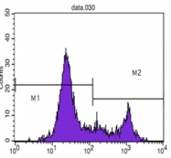 AM06078PU-N - CD8