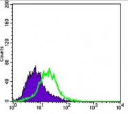 AM06387SU-N - Cytokeratin 15
