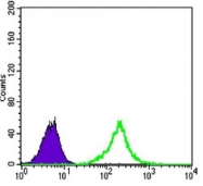 AM06389SU-N - Catenin beta-1