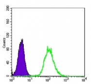 AM06404SU-N - Cytokeratin 7