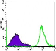 AM06431SU-N - CD19